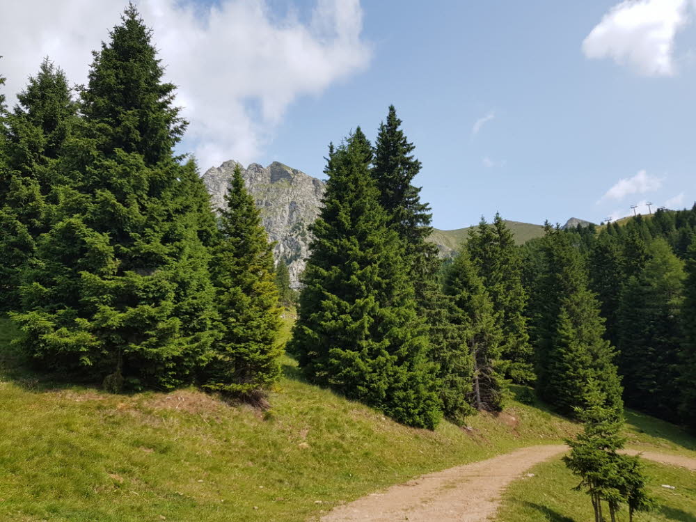 20190713_104224