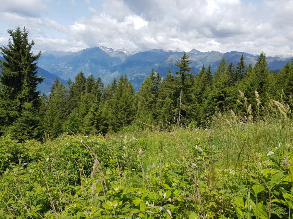 20190713_114739