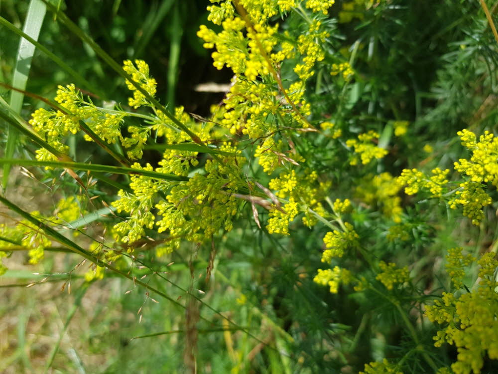 20190713_125056