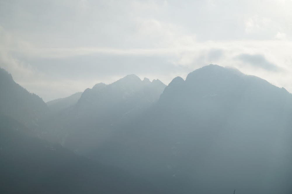 2020_02_Voels-001