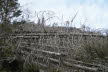 2020_02_Voels-004
