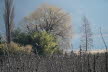 2020_02_Voels-009