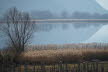 2020_02_Voels-010