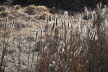 2020_02_Voels-016