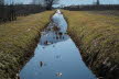 2020_02_Voels-023