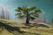 2020_02_Voels-030