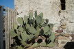 2020_02_Voels-032