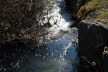 2020_02_Voels-035
