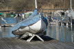 2020_02_Voels-039
