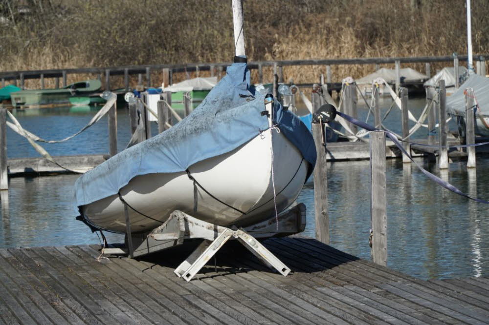 2020_02_Voels-039