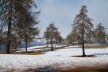 2020_02_Voels-049