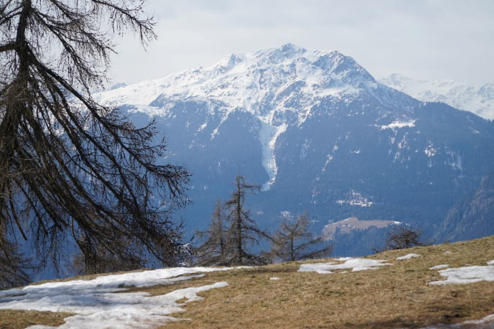 2020_02_Voels-051