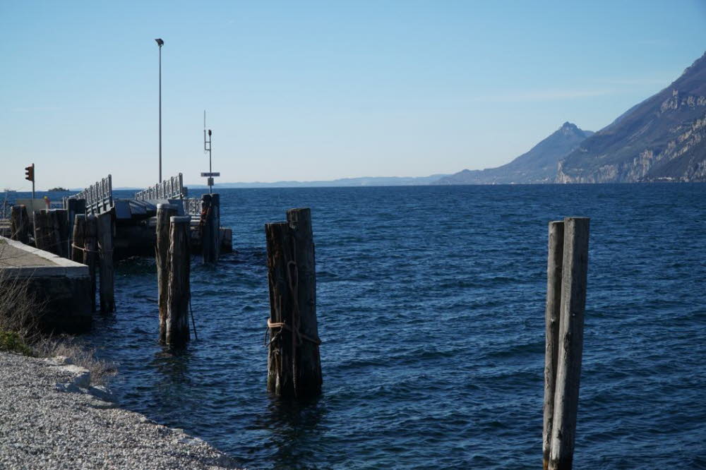 2020_02_Voels-059