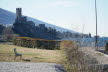 2020_02_Voels-060