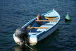 2020_02_Voels-067