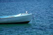 2020_02_Voels-069