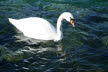 2020_02_Voels-093