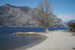 2020_02_Voels-096