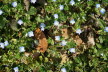 2020_02_Voels-097