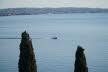 2020_02_Voels-098