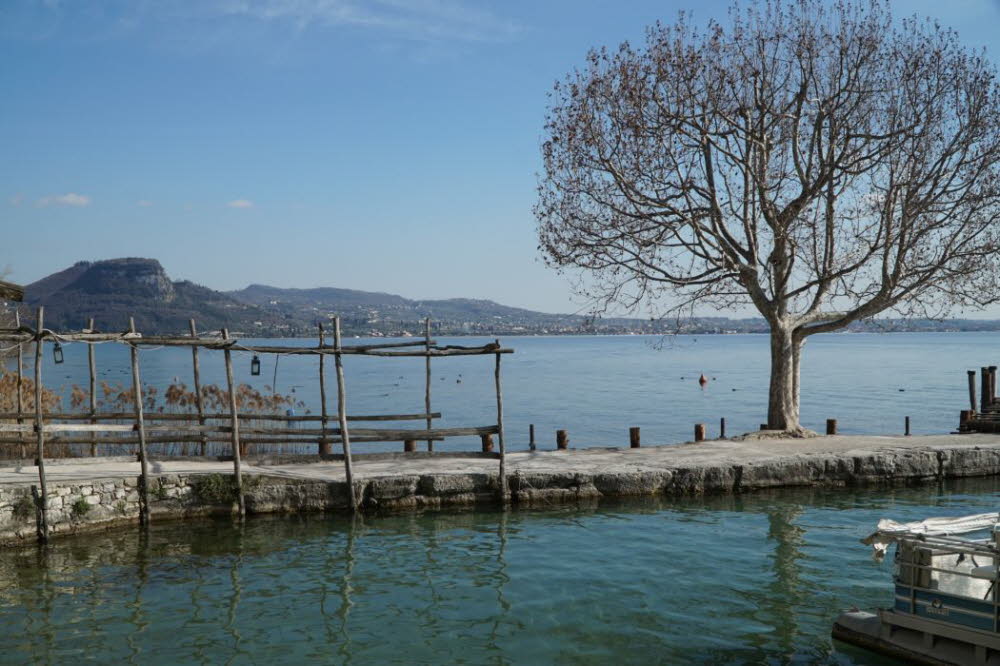 2020_02_Voels-102