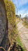 2020_02_Voels-155