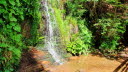 2020_07_Kniebis-034