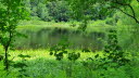 2020_07_Kniebis-041