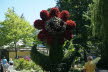 2020_07_Kniebis-061