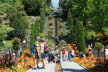 2020_07_Kniebis-084