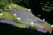 2020_07_Kniebis-091