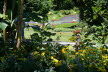2020_07_Kniebis-096