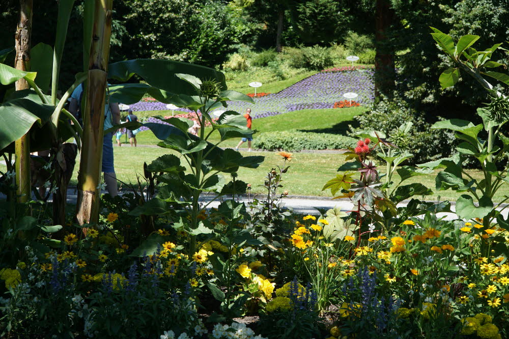 2020_07_Kniebis-096
