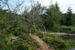2020_07_Kniebis-178