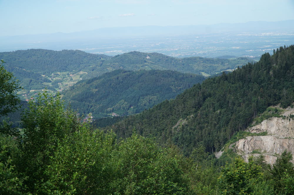 2020_07_Kniebis-187