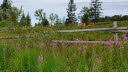 2020_07_Kniebis-192