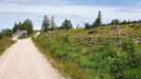 2020_07_Kniebis-195