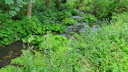 2020_07_Kniebis-241
