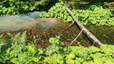 2020_07_Kniebis-244