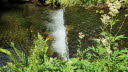 2020_07_Kniebis-246