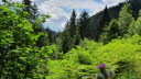 2020_07_Kniebis-253