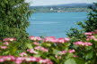 2020_07_Kniebis_I_-034