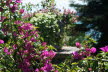2020_07_Kniebis_I_-045