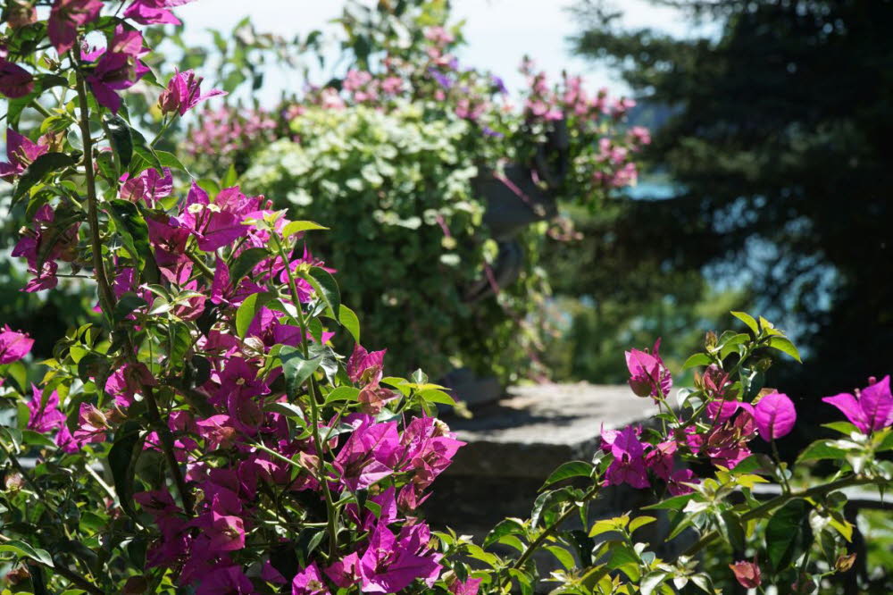 2020_07_Kniebis_I_-045
