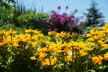 2020_07_Kniebis_I_-047