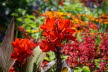 2020_07_Kniebis_I_-051