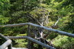 2020_07_Kniebis_I_-055
