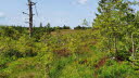 2020_07_Kniebis_I_-067