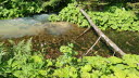 2020_07_Kniebis_I_-078