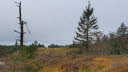 2020_10_Kniebis_I_-027